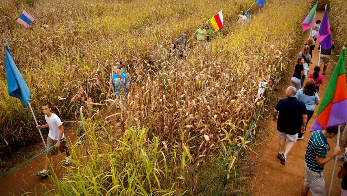 Pumpkin Patches, Corn Mazes & Hayrides At Farms In NC | VisitNC.com